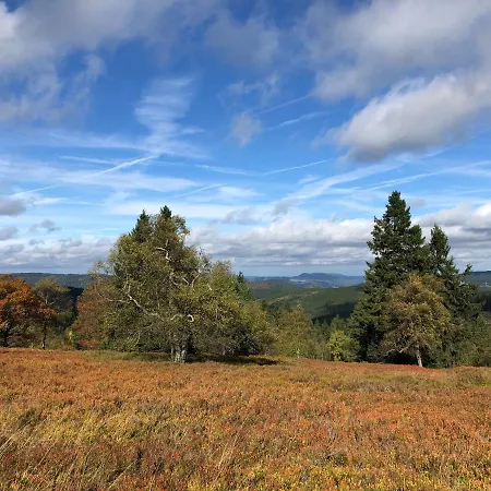 Kiefernweg Winterberg