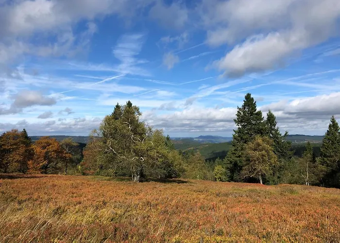 Kiefernweg Winterberg